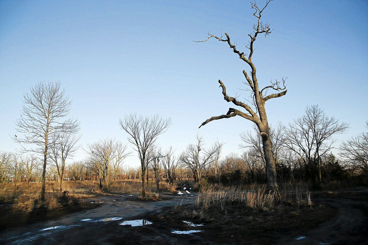 Turkey Mountain